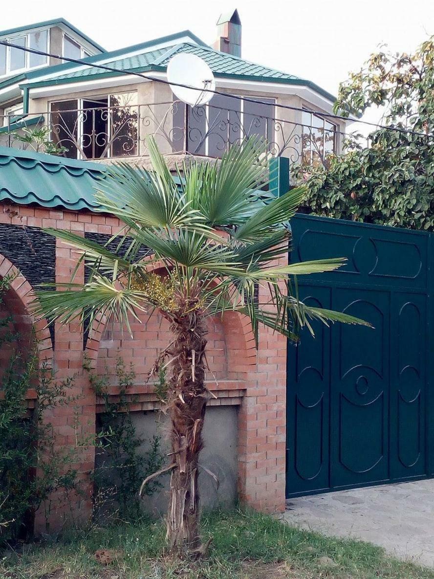 Green House Kachret'i Exterior photo